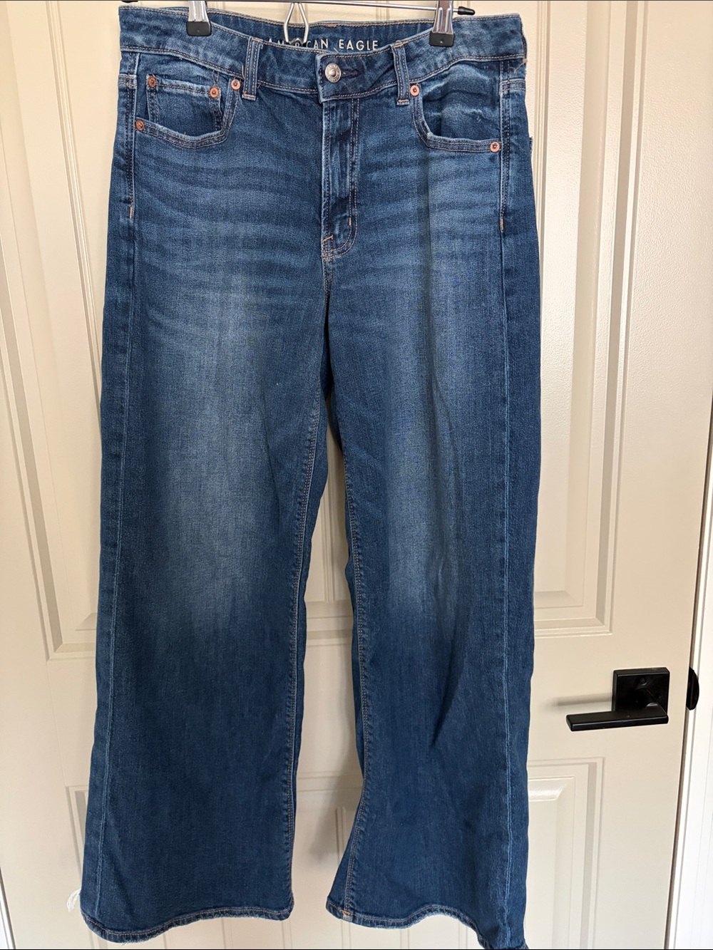 American Eagle Outfitters Low Rise Baggy Wide Leg
